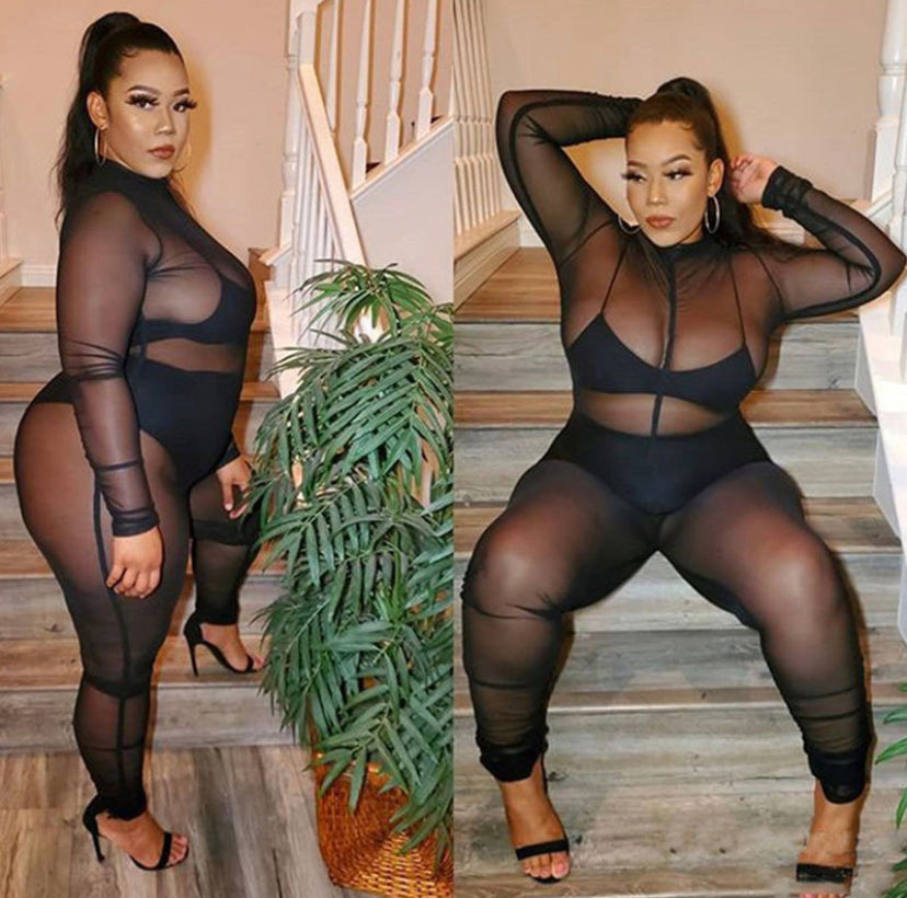 Black Mesh Jumpsuit(Plus)